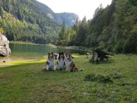 Am Gosausee, A